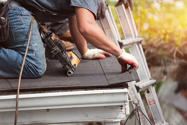 Best Roof Gutter Cleaning  in Ridgebury, CT