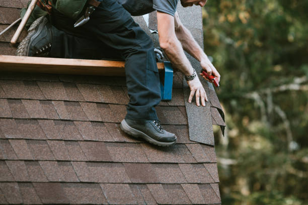 Best Roof Maintenance Services  in Ridgebury, CT